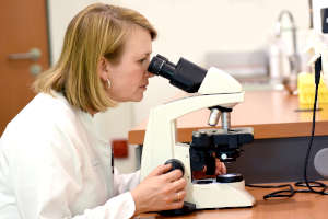 Internist, Nephrologe Münster